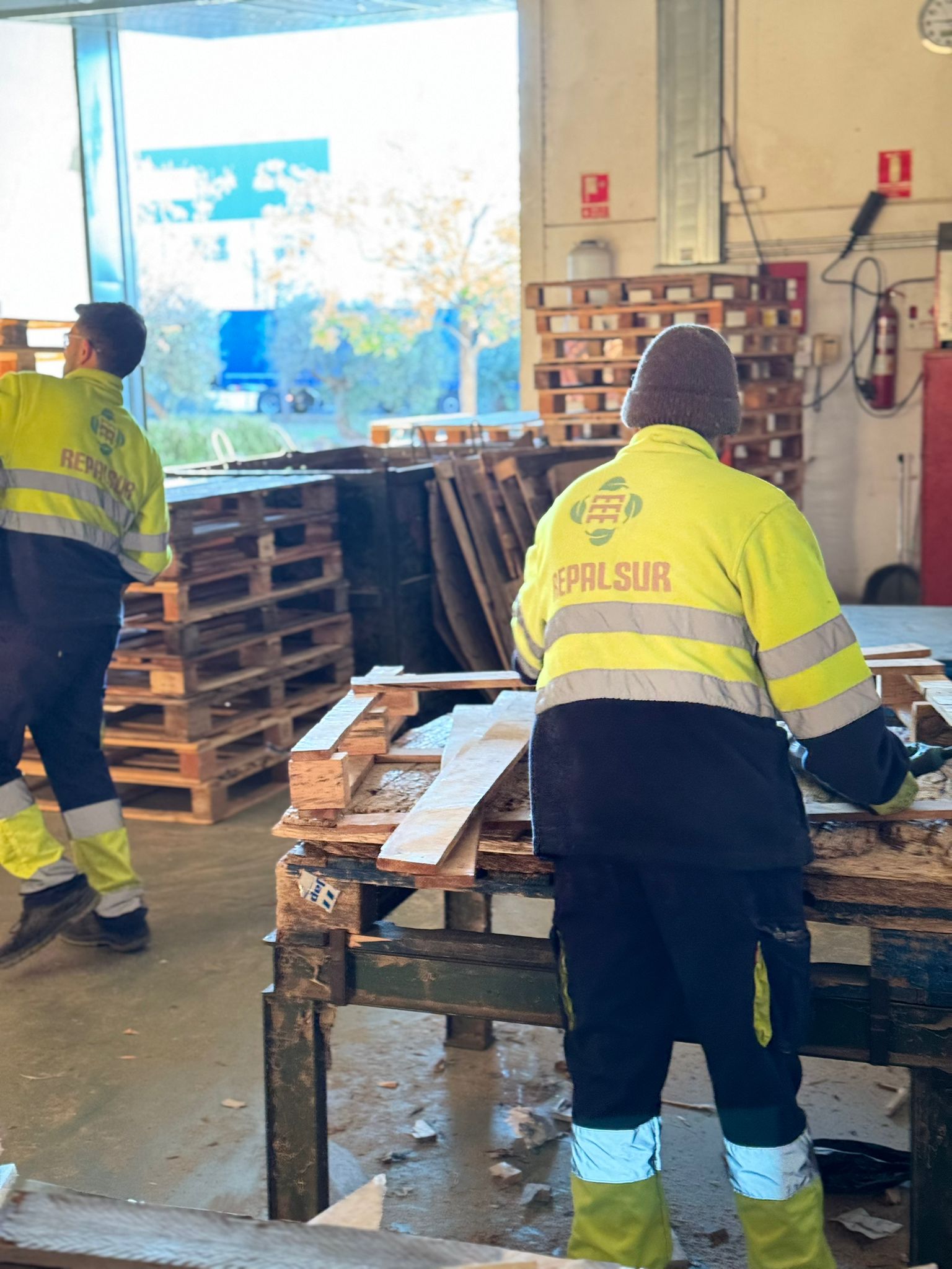 Recuperación de palets